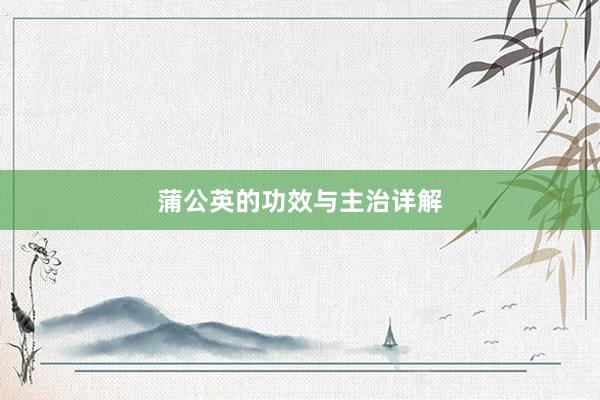 蒲公英的功效与主治详解